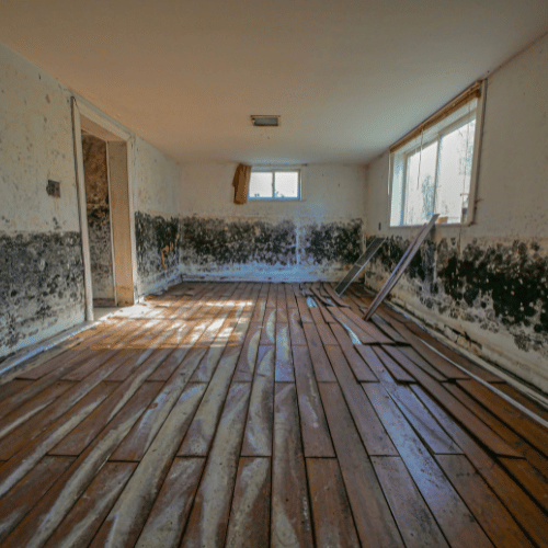 Resilient Restoration | Mold Remediation in McKinney TX