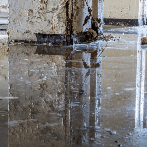 Resilient Restoration | Water Damage Restoration in McKinney TX