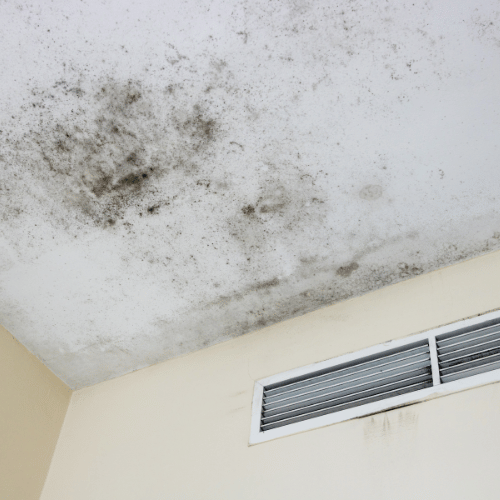 Resilient Restoration Mold Remediation in McKinney TX