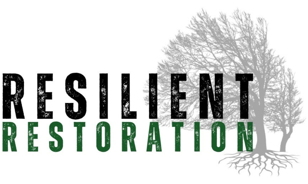 Resilient Restoration